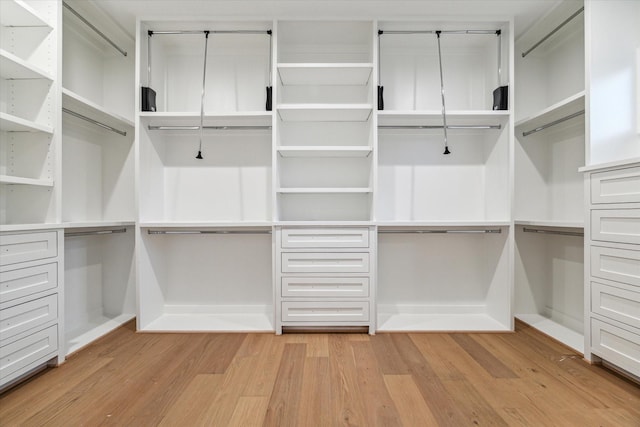 spacious closet with light wood-type flooring