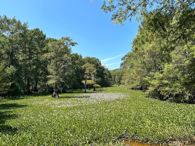 Listing photo 3 for 399 County Road 2502, Liberty TX 77575