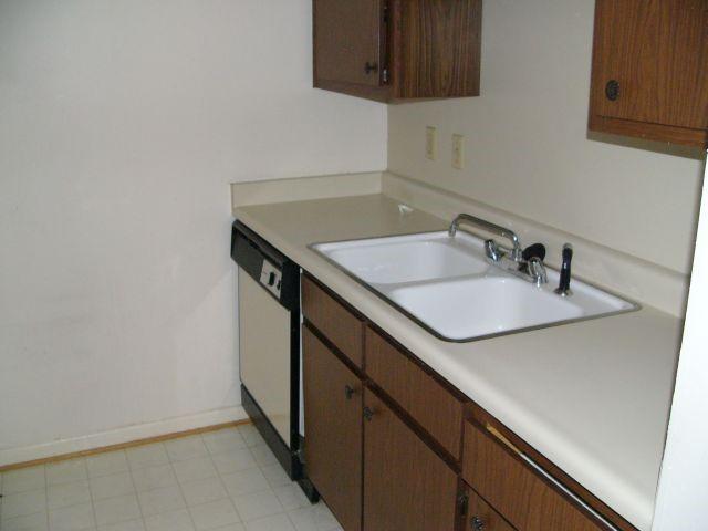 kitchen with dishwasher and sink