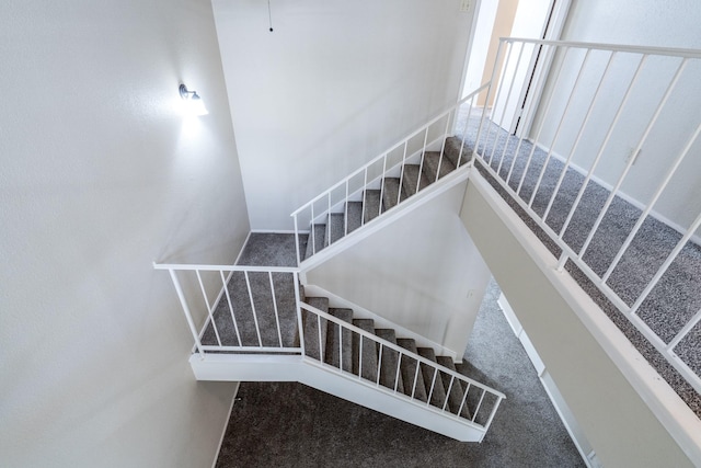 staircase with carpet floors