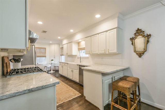 kitchen with white cabinets, sink, light stone countertops, appliances with stainless steel finishes, and dark hardwood / wood-style flooring