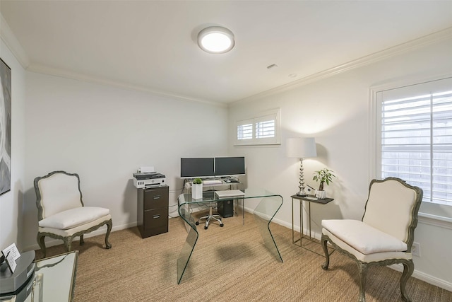 carpeted office space featuring ornamental molding