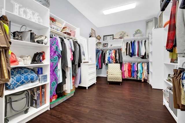 walk in closet featuring dark wood-type flooring