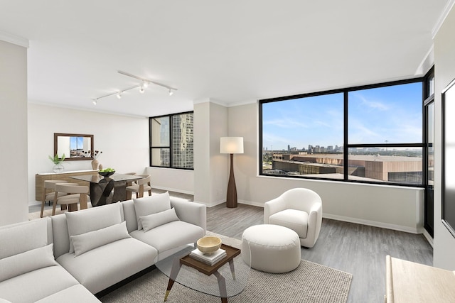 living room with floor to ceiling windows, crown molding, and light hardwood / wood-style floors