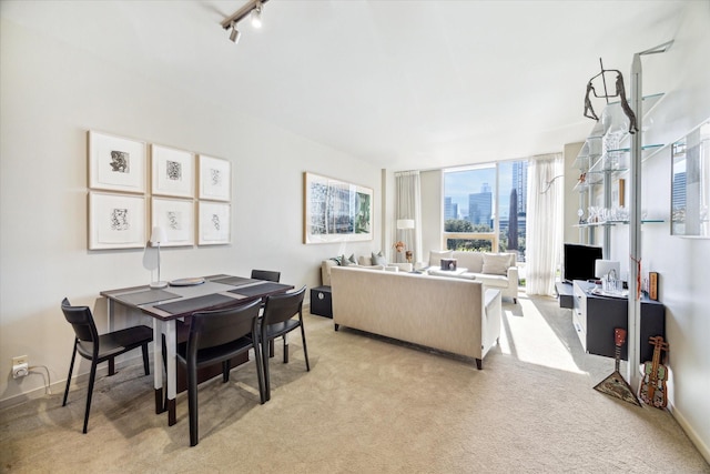 carpeted dining room with rail lighting