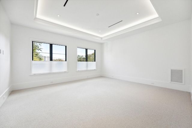 spare room with a tray ceiling and light carpet