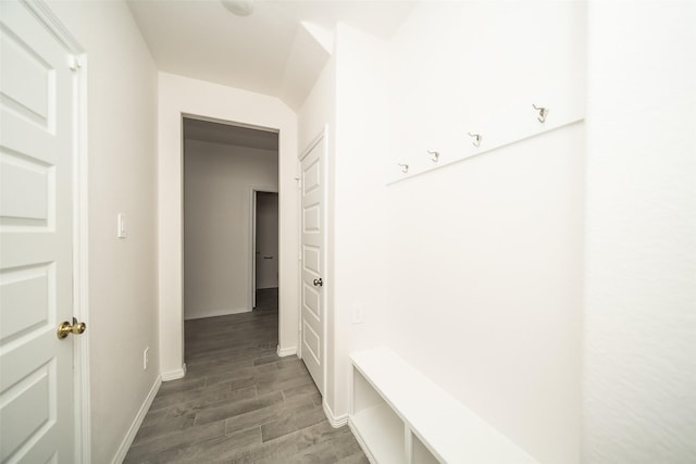 mudroom featuring dark hardwood / wood-style floors