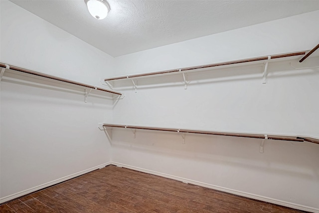 spacious closet featuring dark wood-type flooring