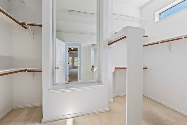 spacious closet with light carpet