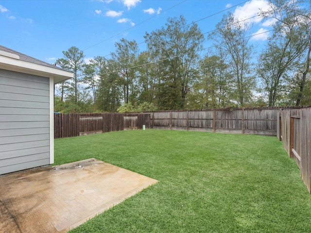 view of yard with a patio