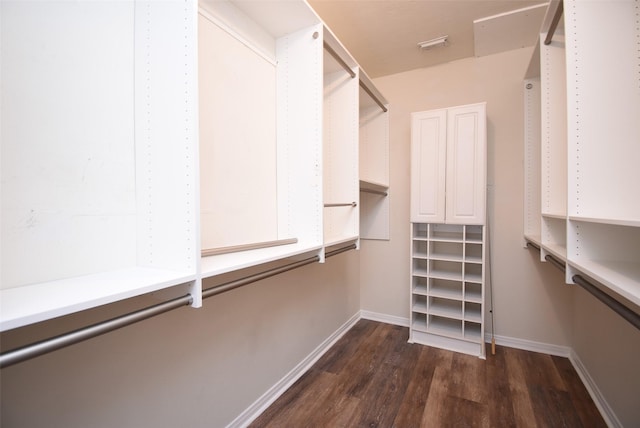 spacious closet featuring dark hardwood / wood-style floors