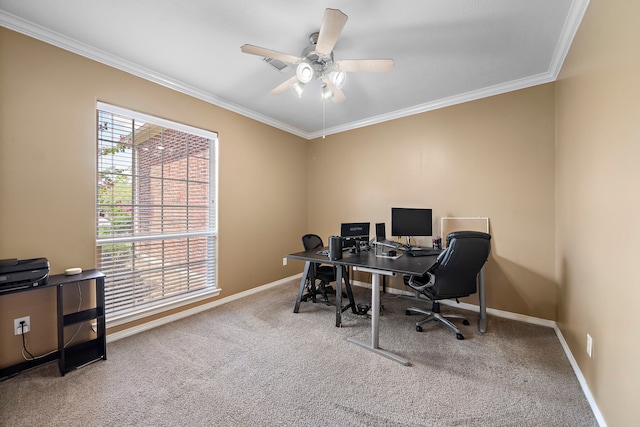 carpeted office with ceiling fan and crown molding