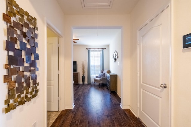 corridor with dark hardwood / wood-style floors