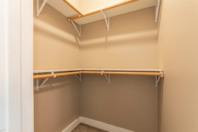 spacious closet with carpet