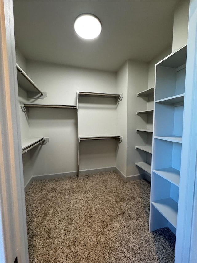 walk in closet featuring dark carpet