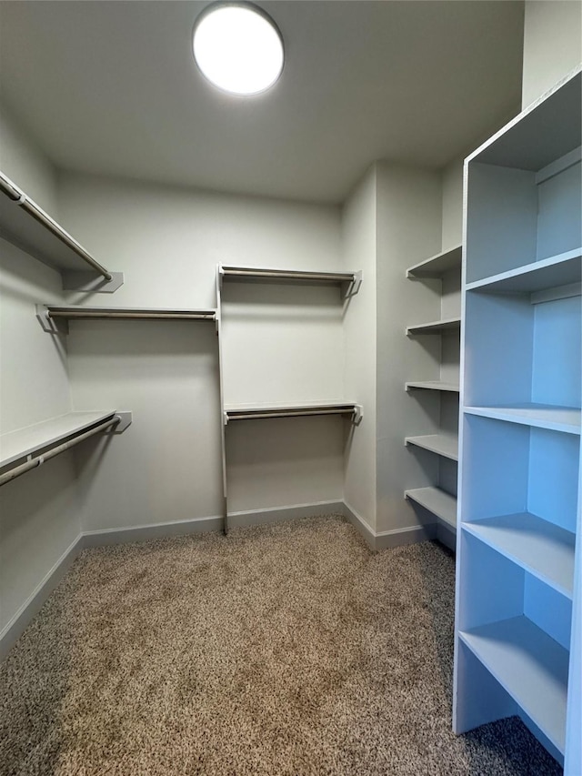 walk in closet with dark carpet