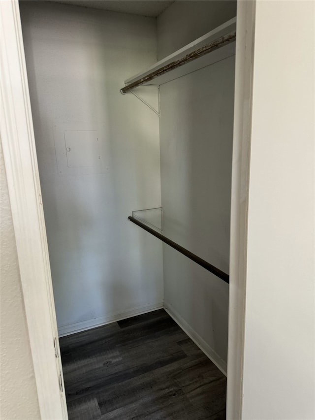 walk in closet featuring dark hardwood / wood-style flooring