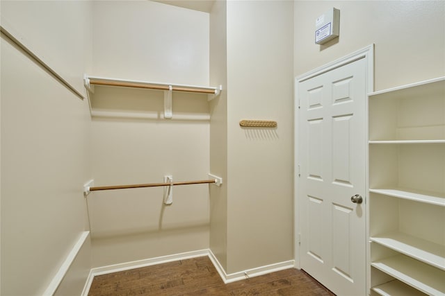 walk in closet featuring dark hardwood / wood-style flooring