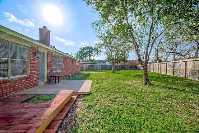 view of yard featuring a patio area