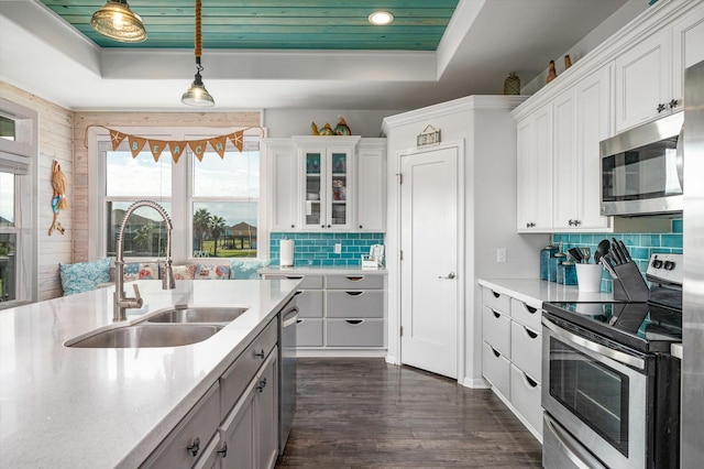 kitchen featuring white cabinets, appliances with stainless steel finishes, a tray ceiling, and sink