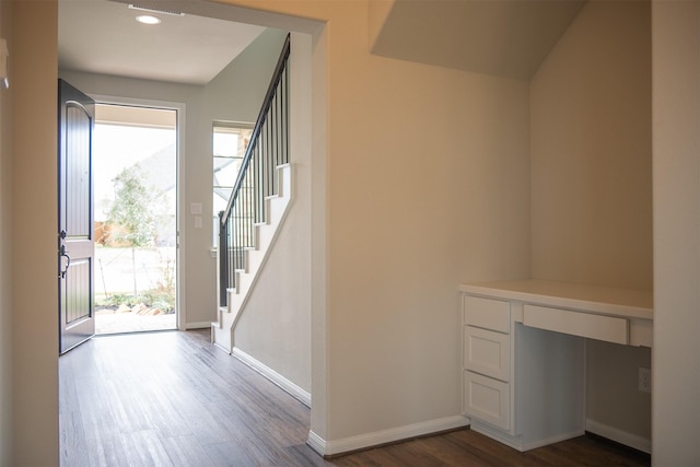 foyer featuring dark hardwood / wood-style flooring and plenty of natural light