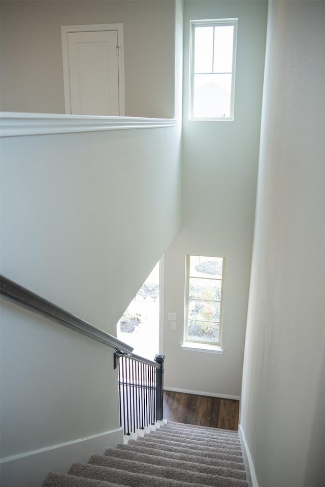 stairs with hardwood / wood-style floors