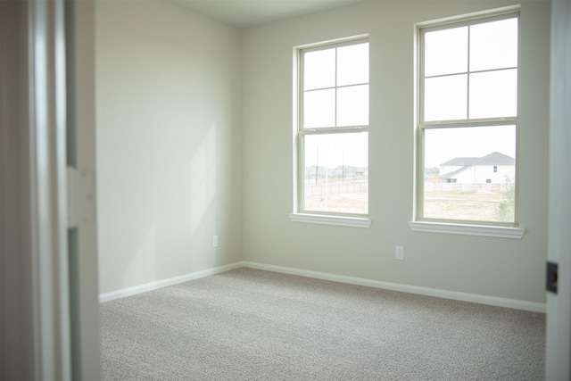 spare room with carpet flooring and a wealth of natural light