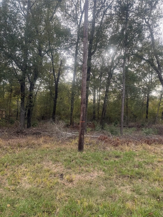 Listing photo 2 for TBD Southland, Livingston TX 77351