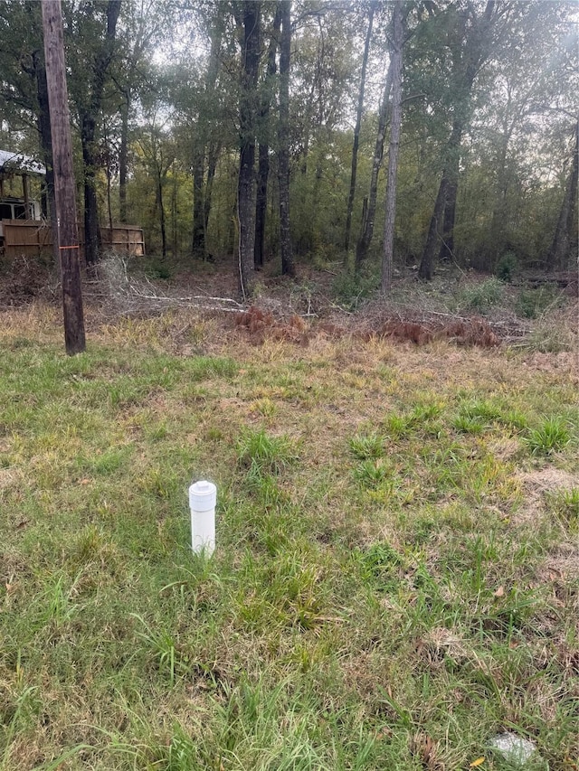 Listing photo 3 for TBD Southland, Livingston TX 77351