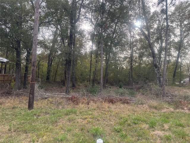 TBD Southland, Livingston TX, 77351 land for sale