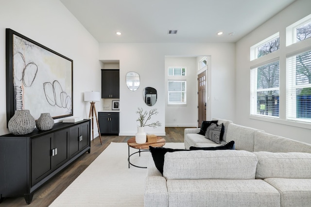 living room with dark hardwood / wood-style floors and a healthy amount of sunlight