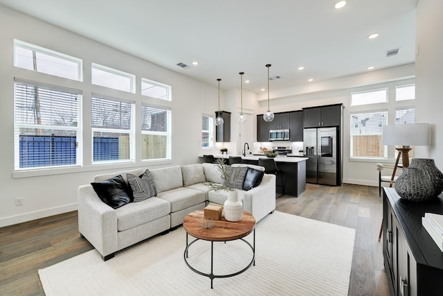 living room featuring wood-type flooring, a wealth of natural light, and sink