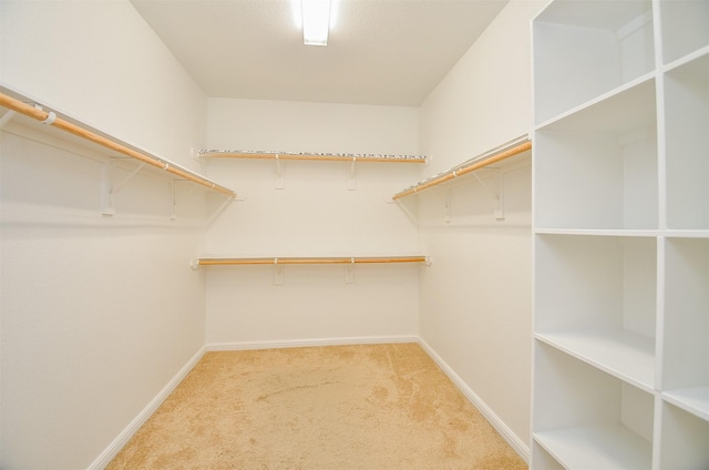 spacious closet featuring light carpet