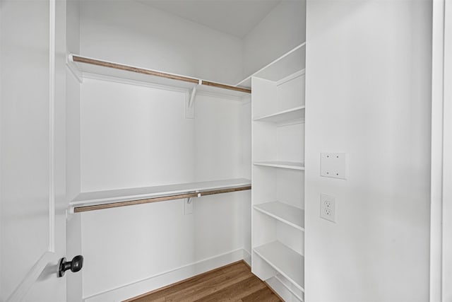 spacious closet featuring wood-type flooring