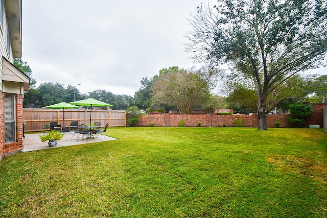 view of yard featuring a patio