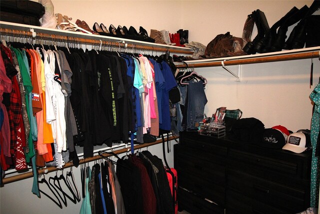 view of walk in closet