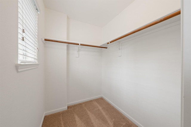 spacious closet with light colored carpet