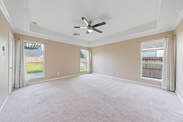 carpeted empty room featuring a tray ceiling and a wealth of natural light