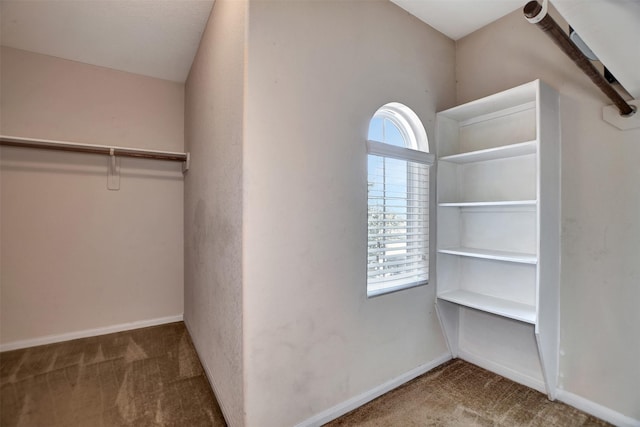 spacious closet featuring carpet flooring