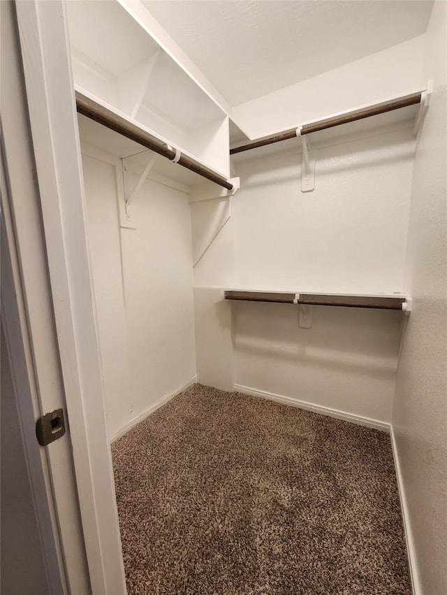 walk in closet with carpet floors