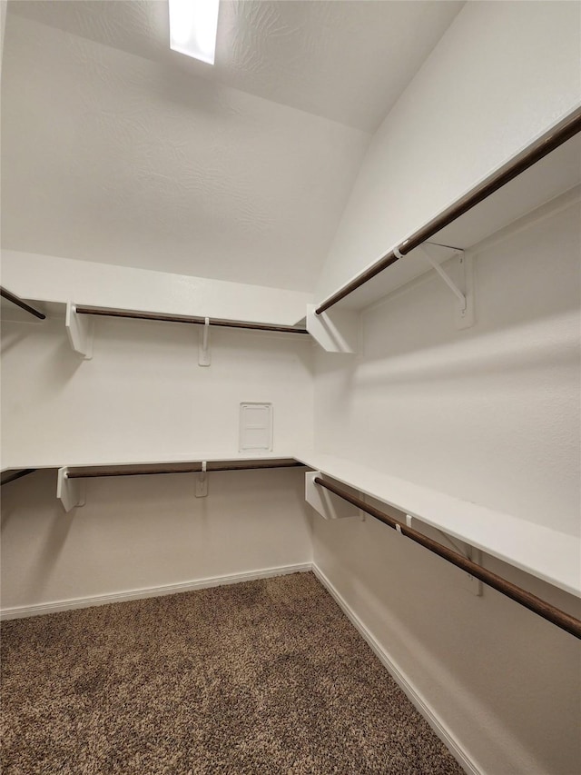 spacious closet featuring carpet flooring and vaulted ceiling