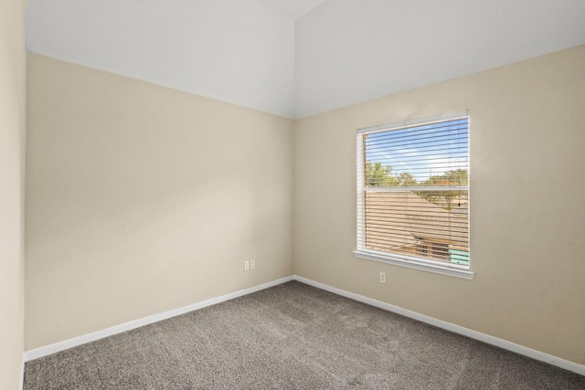 unfurnished room featuring carpet flooring and a wealth of natural light