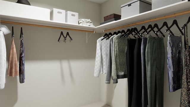 view of spacious closet