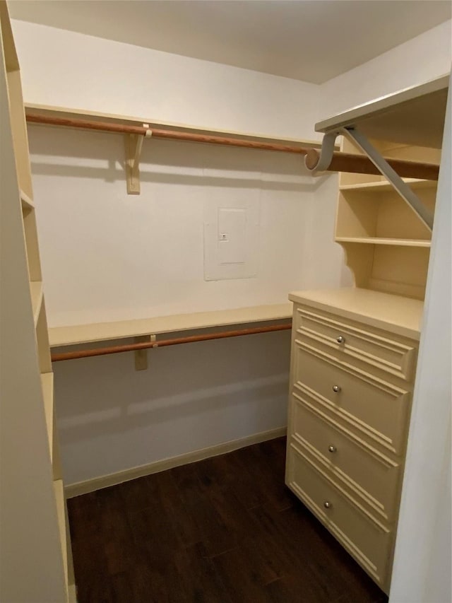 spacious closet featuring dark hardwood / wood-style floors