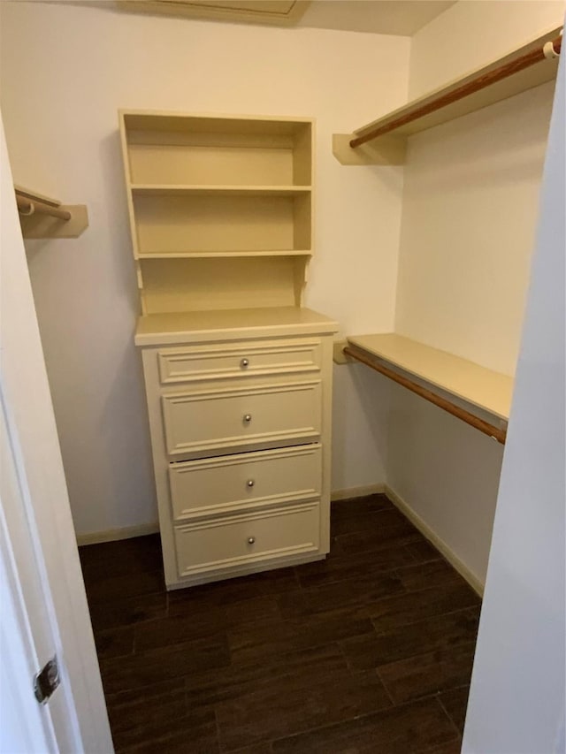 walk in closet featuring dark hardwood / wood-style floors