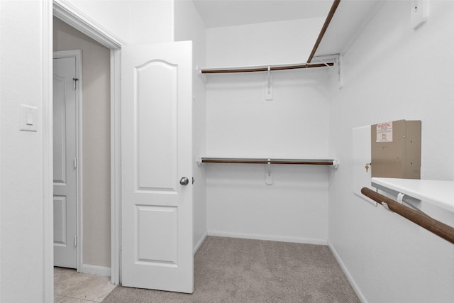 walk in closet with light carpet