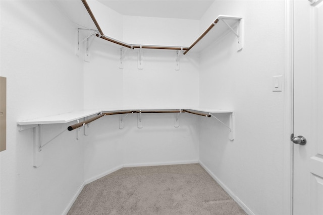 spacious closet with light colored carpet