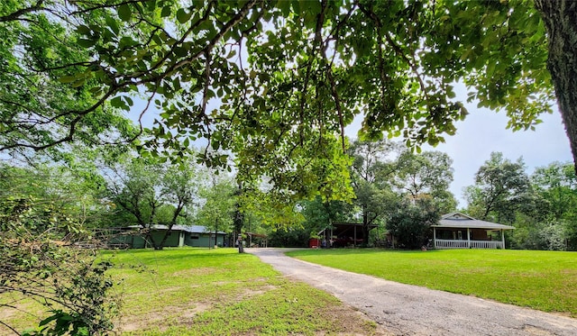 view of yard featuring covered porch