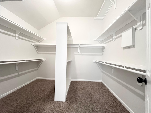 spacious closet featuring carpet and lofted ceiling