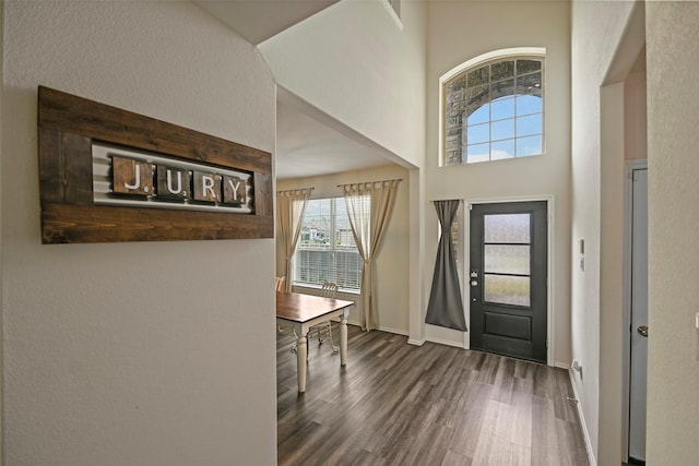 entryway featuring dark hardwood / wood-style floors and a high ceiling